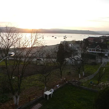 Dalton Aprtmani 公寓 *
